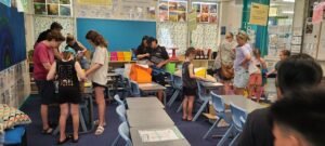 Australian Primary and Secondary School System